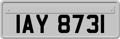 IAY8731