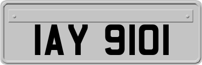 IAY9101