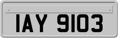 IAY9103