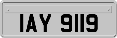 IAY9119