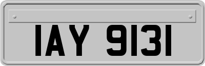 IAY9131