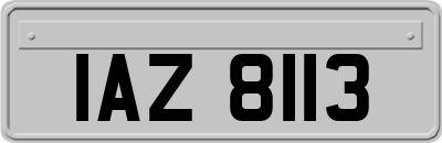 IAZ8113