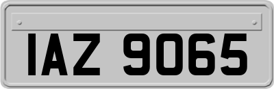 IAZ9065