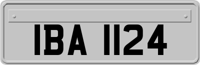 IBA1124