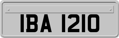 IBA1210