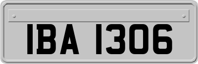 IBA1306