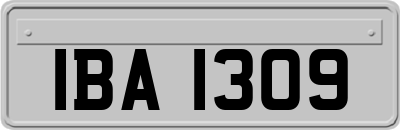 IBA1309