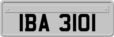 IBA3101