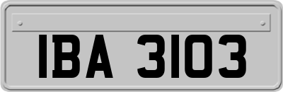 IBA3103