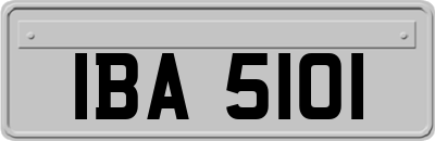 IBA5101