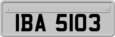 IBA5103