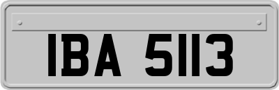 IBA5113