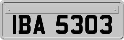 IBA5303