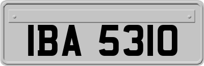 IBA5310