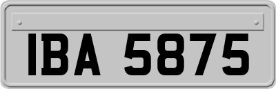 IBA5875