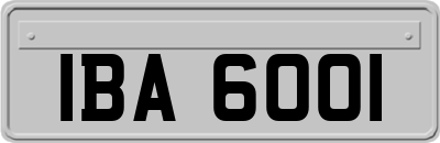 IBA6001