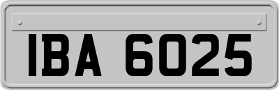 IBA6025