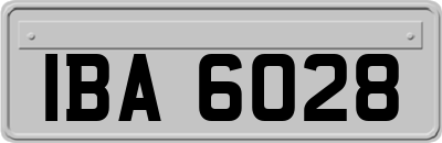 IBA6028