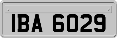 IBA6029