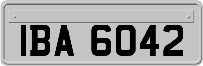 IBA6042