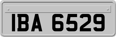 IBA6529