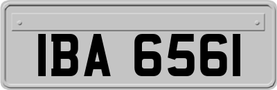 IBA6561