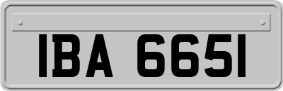 IBA6651