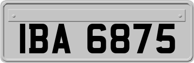 IBA6875