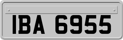 IBA6955