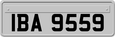 IBA9559