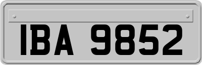 IBA9852