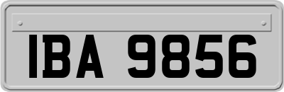 IBA9856