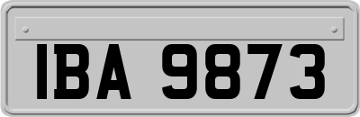 IBA9873