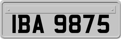 IBA9875