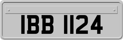 IBB1124