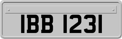 IBB1231