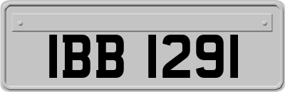 IBB1291