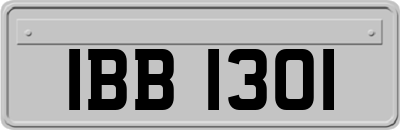 IBB1301