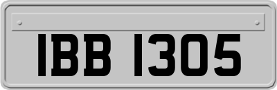 IBB1305