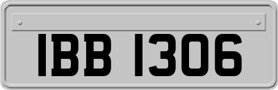 IBB1306