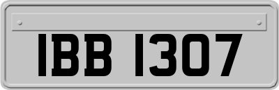 IBB1307