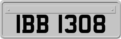 IBB1308