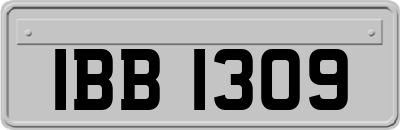 IBB1309