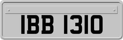 IBB1310