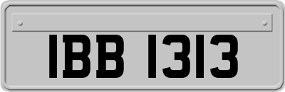 IBB1313