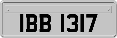 IBB1317