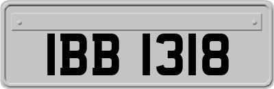 IBB1318