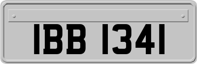 IBB1341