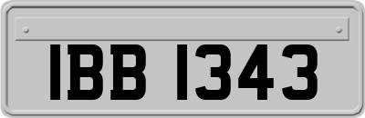 IBB1343