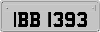 IBB1393